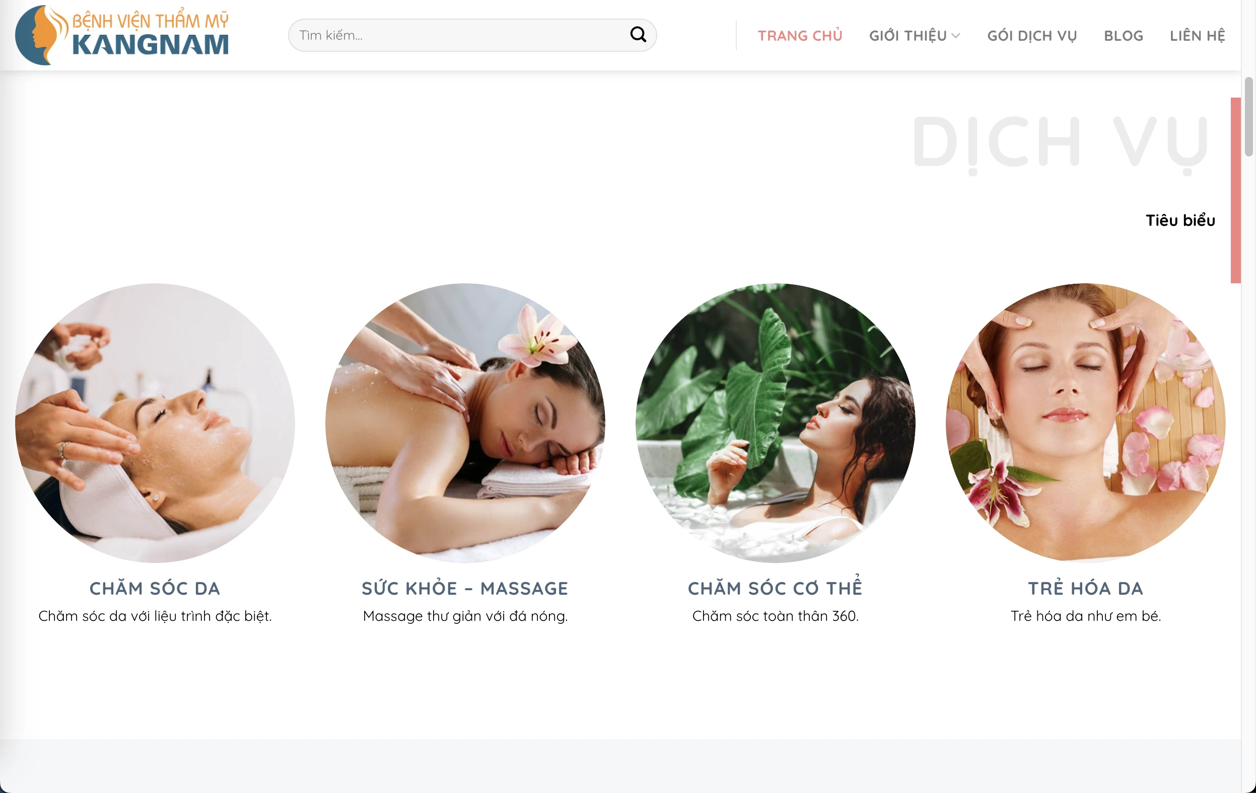 thiet-ke-website-spa