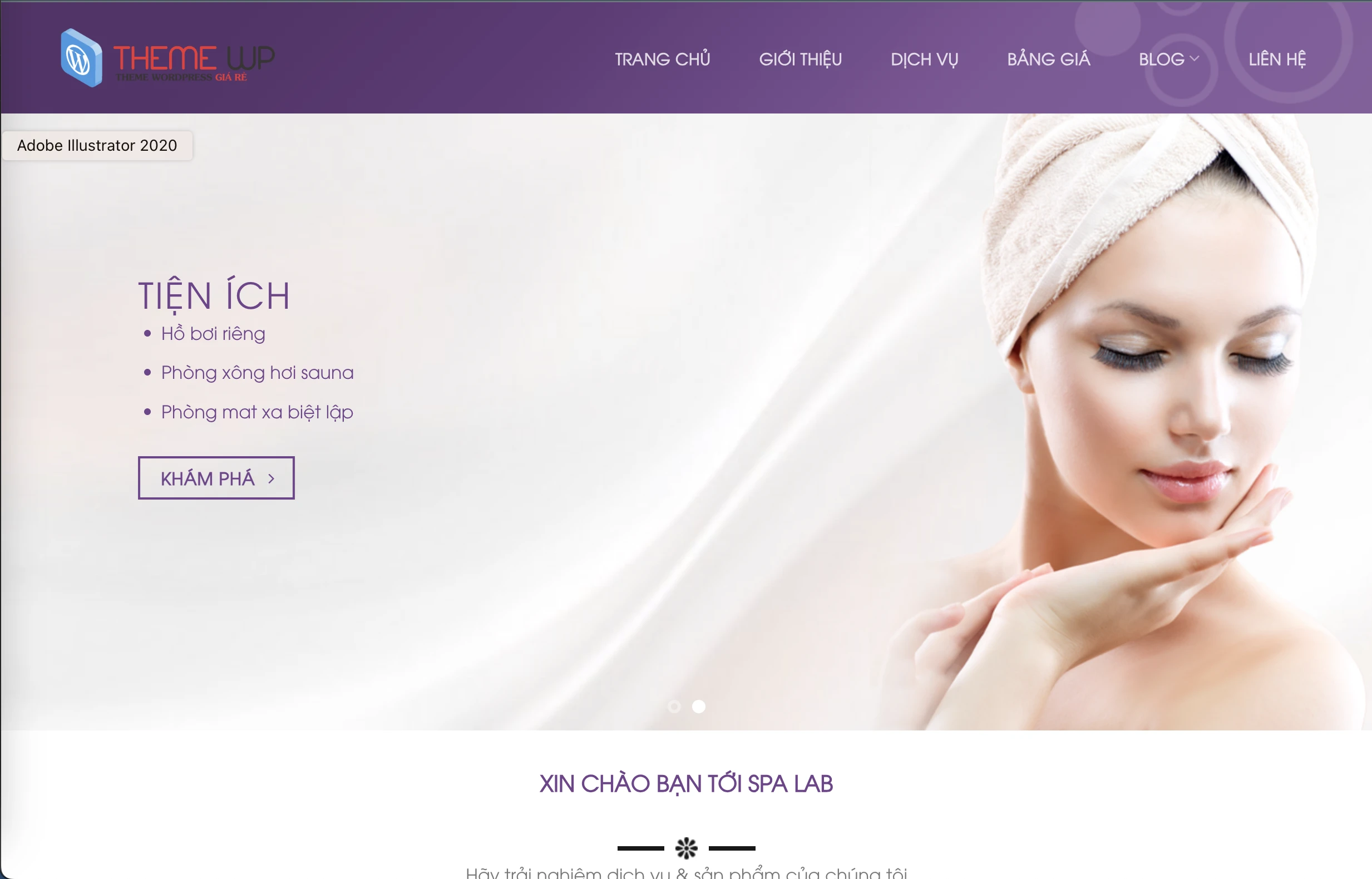 thiet-ke-website-spa-tmv